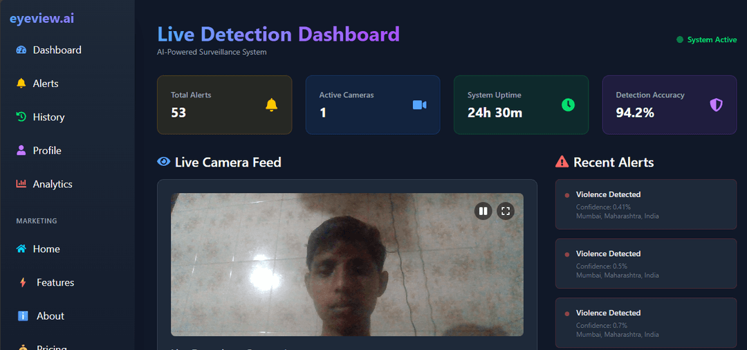Eyeview.ai: Real Time Violence Detection System preview